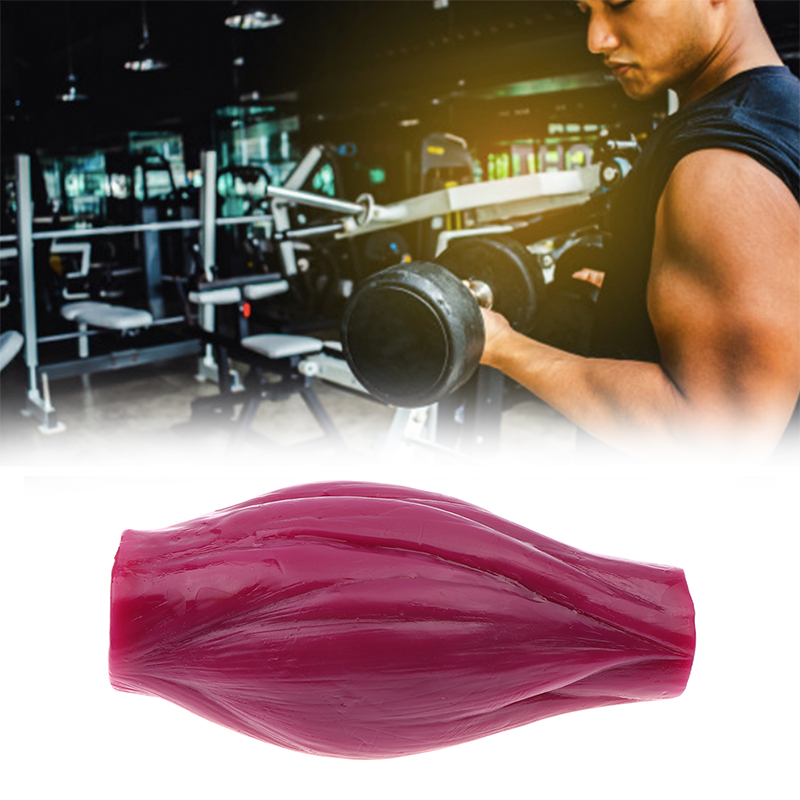 1lb Muscle to Keep Fit & Weigh - Nutrition Fitness Course บทวิจารณ์และราคา